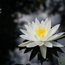 jiyandgn-blog avatar