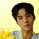 jjungwoos avatar