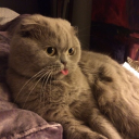 jmateechick2000 avatar