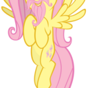 joelsenpaiplsnotice avatar