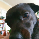 joergs-things avatar