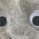 joeydrawsblocks avatar