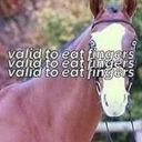 joeysirpreamous avatar