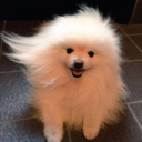 john--lithgow avatar