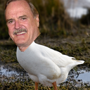 john-geese avatar