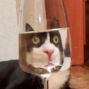 john-jacob-jingleheimer-shmidt avatar