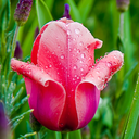 johndaephotoart avatar