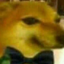 johndoe-cant-read avatar