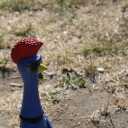 johndoeappollogist avatar