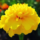 johndoeslostpinky avatar