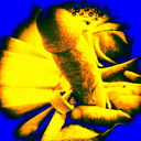 johngoose88-blog avatar