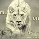 johnkatarsblog avatar