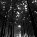 johnnie-121212 avatar