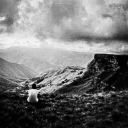 johnny-begood-88 avatar