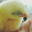 johnnyfuckoff avatar