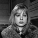 johnnyvalance avatar