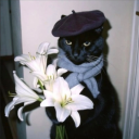 johnpodcastwatson avatar