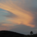 johnrandbearartist avatar