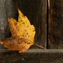 johnsmoodswings avatar