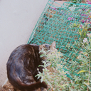 johnspoetryblog avatar