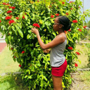 jojoloveeblog-blog-blog avatar