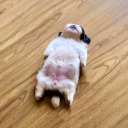 jojothetankengine avatar