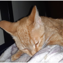 jokerfunnystytem avatar