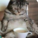 jokingalldday avatar