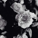 jol-vagyok-el-ne-hidd avatar