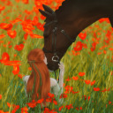 jolienindahousee avatar