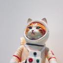 jolliejackdaw avatar