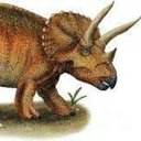 jollytrisaratops avatar