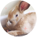 jolynediomaddiegoro avatar