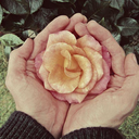 jonathanpierce avatar