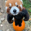 jonesandjoanna avatar