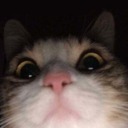 joneskawaii-blog avatar