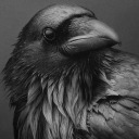 jonny-jonny-66 avatar