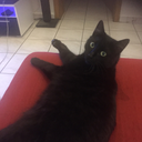 jonnybigoud68 avatar