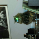 jonnyborgoroth avatar