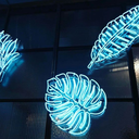 jonquilla-narcissa avatar