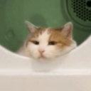 jooniversallove avatar