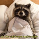 jordyjustjordy avatar