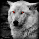 jorgebejarano1 avatar