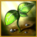 jorgevelaztillo avatar