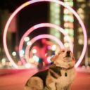 jorgez3rm-blog avatar