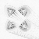 joseph-callioni avatar