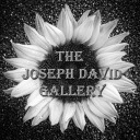 josephdavidgallery avatar