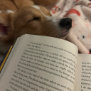 josephinemarcusearp avatar