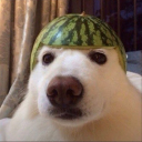 josephthechef avatar