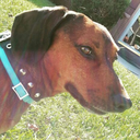 josiebell39-blog avatar